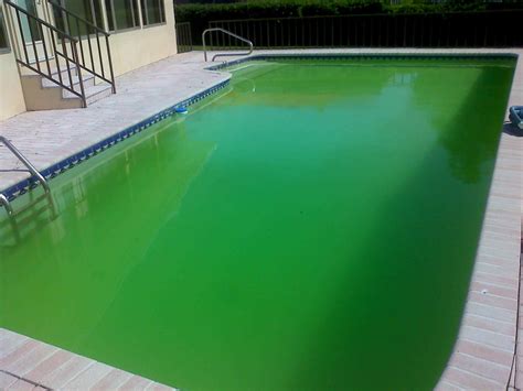 Say Goodbye to Green Pools with Blue Magic Chemicals